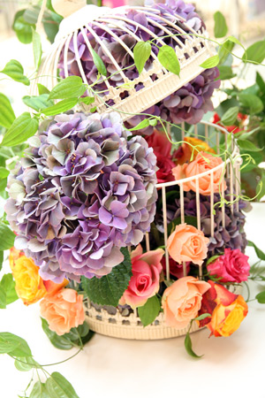 201109244.jpg